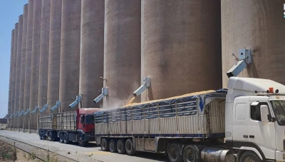 وصول 134 ألف طن قمح روسي وأوكراني إلى موانئ سوريا لتعزيز الأمن الغذائي