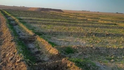 تأخر الزراعة الشتوية في الحسكة بسبب انحباس الأمطار وارتفاع أسعار البذار
