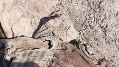 دمشق: اكتشاف مقبرة جماعية قرب دوما