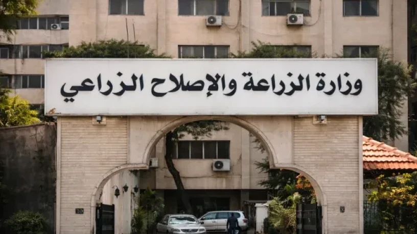 الحسكة: وز...