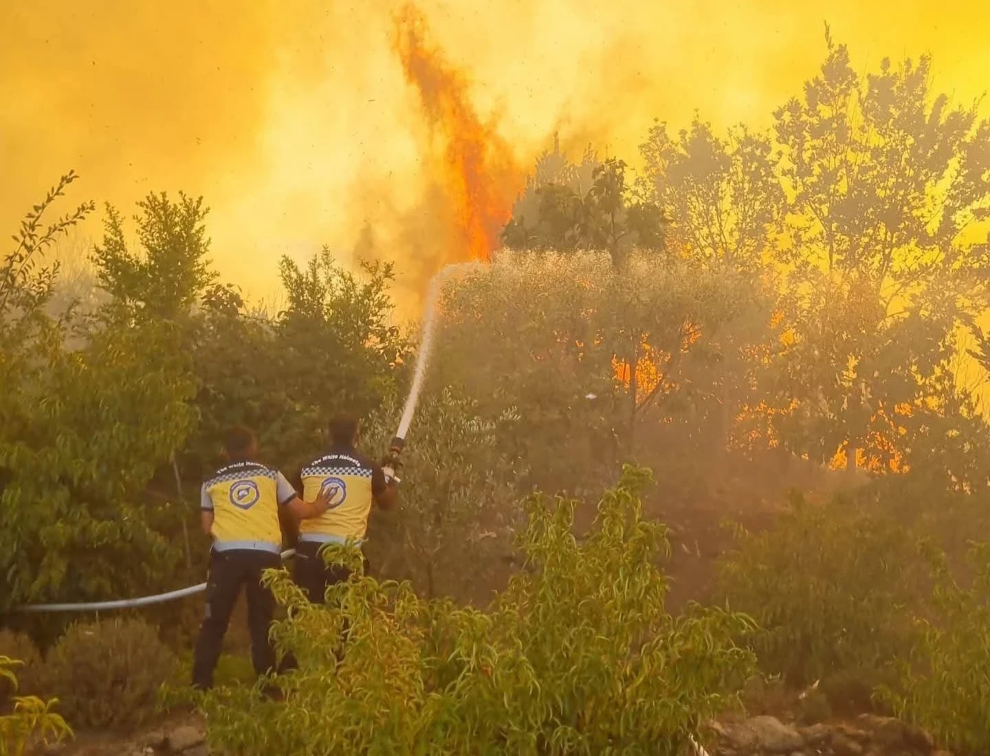 الدفاع المدني يعلن جهود مكثفة لإخماد حرائق الغابات في اللاذقية وحماة